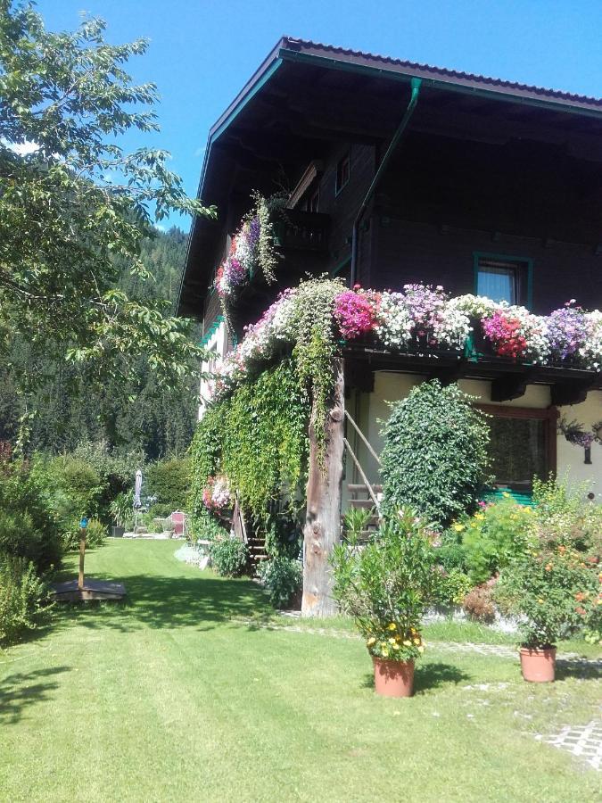 Ferienhaus Regina Werfenweng Εξωτερικό φωτογραφία