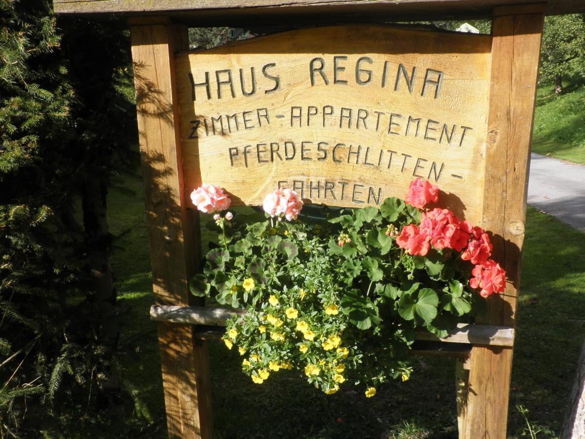 Ferienhaus Regina Werfenweng Εξωτερικό φωτογραφία
